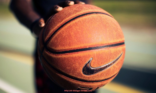 章鱼直播-德甲中具备欧冠资格的球队名单及赛季表现总结